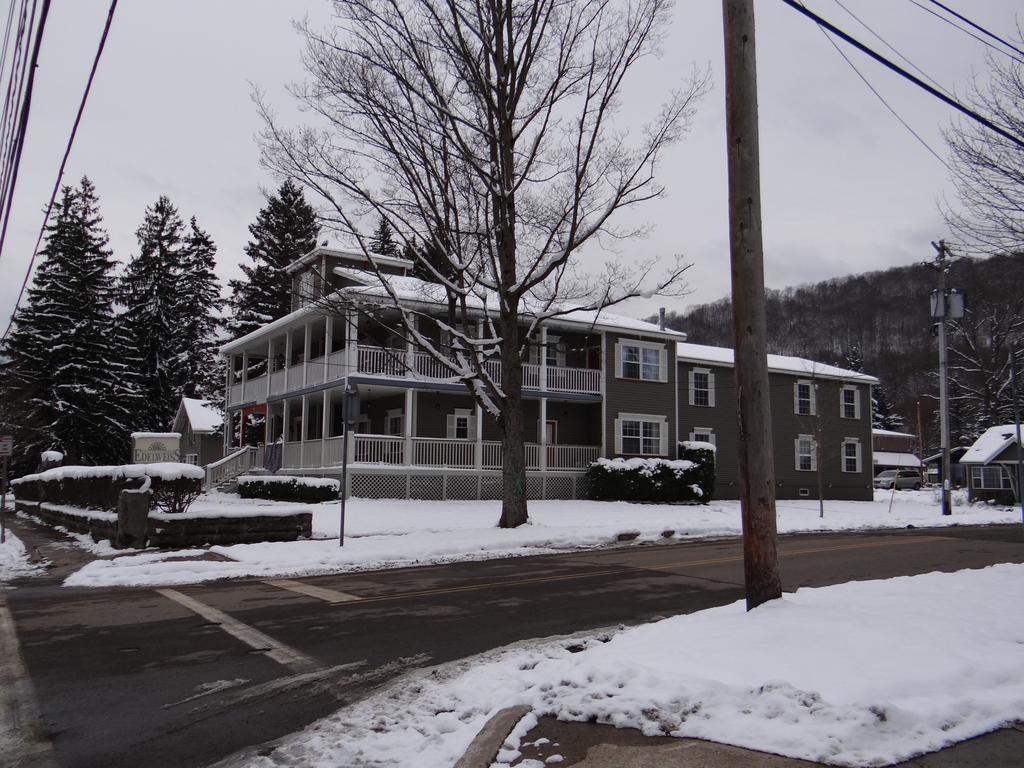 Edelweiss Ski Lodge Ellicottville Dış mekan fotoğraf